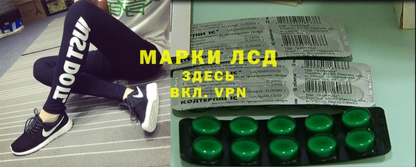 ГАЛЛЮЦИНОГЕННЫЕ ГРИБЫ Осинники