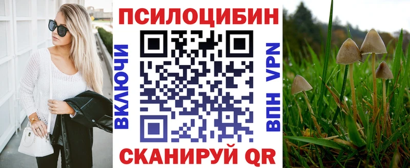 где купить наркоту  нарко площадка официальный сайт  Псилоцибиновые грибы GOLDEN TEACHER  Белый  ссылка на мегу ссылки 